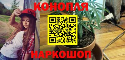 крисы Северобайкальск