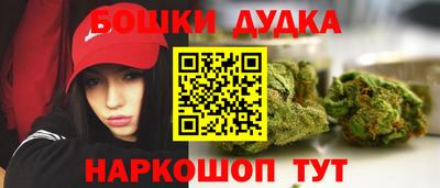 крисы Северобайкальск