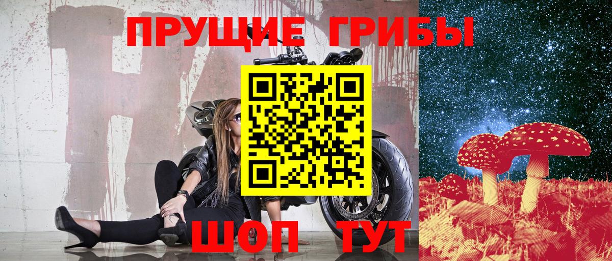 Галлюциногенные грибы GOLDEN TEACHER  Вход с VPN  Галлюциногенные грибы MAGIC MUSHROOMS  Новодвинск 